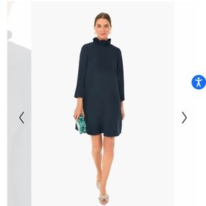 Tuckernuck daphne dress